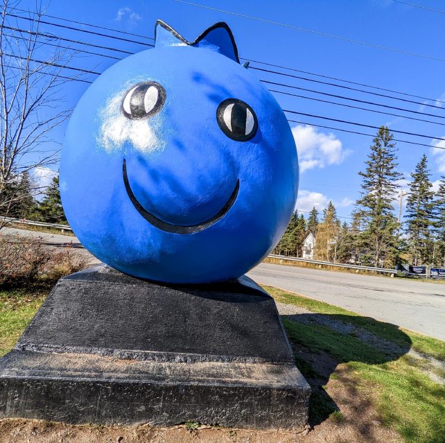 Big Blueberry Roadside Attraction