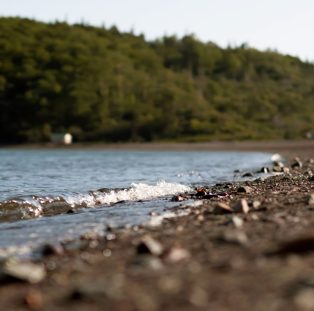 Partridge Island waterline